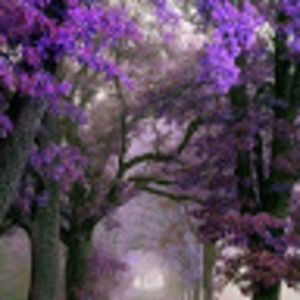 Meet your Posher, Theresa